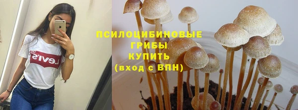 а пвп мука Горно-Алтайск