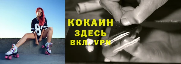 a pvp Горняк