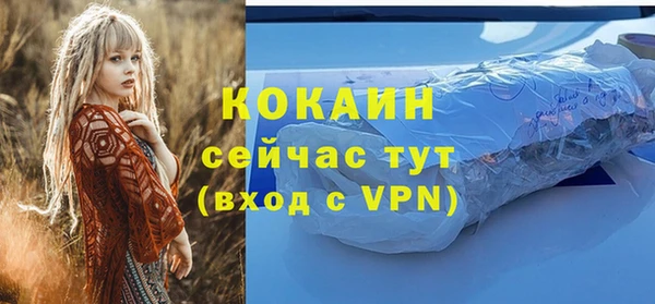 a pvp Горняк